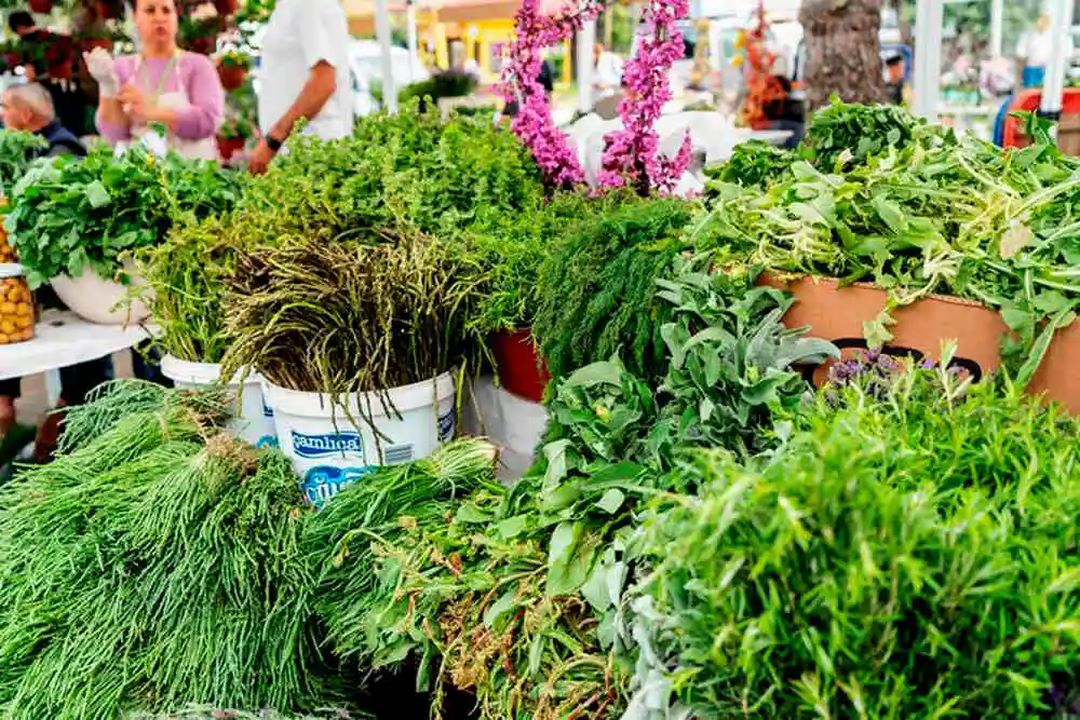 Alaçatı Ot Festivali Turu (Çeşme - Alaçatı - Sığacık) (21 Nisan Salı)