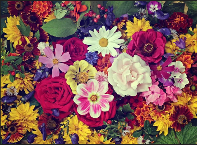 Karaburun Nergis Festivali Turu (17 Ocak Cumartesi - 18 Ocak Pazar)